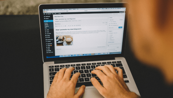 Plugins de Wordpress